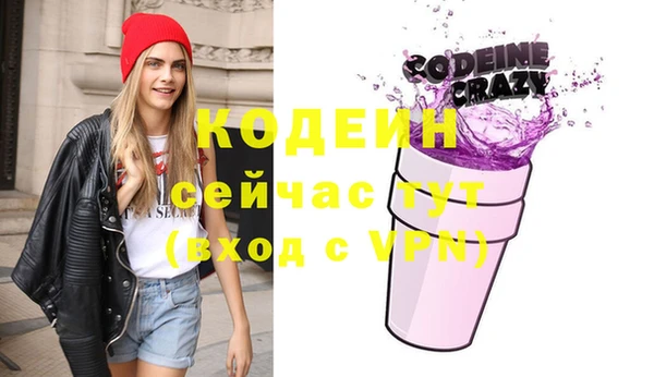 мдпв Вяземский