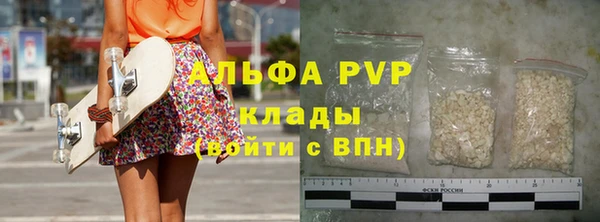гидра Гусев