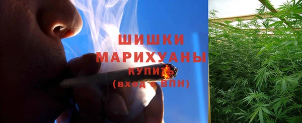 мдпв Вяземский