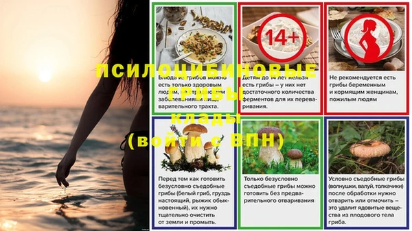 шишки Гусиноозёрск