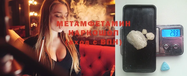 шишки Гусиноозёрск