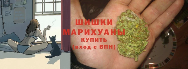 гидра Гусев