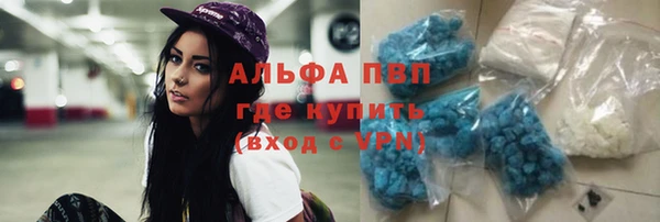 гидра Гусев