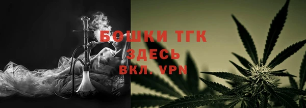 мдпв Вяземский
