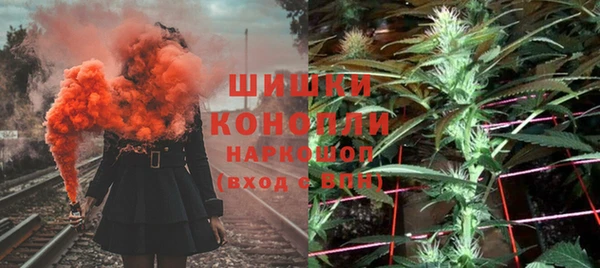 шишки Гусиноозёрск