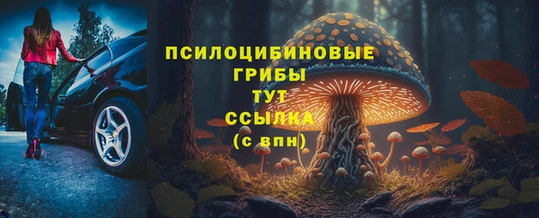 мдпв Вяземский