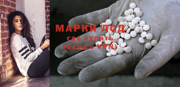 шишки Гусиноозёрск