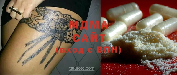 шишки Гусиноозёрск