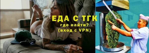 шишки Гусиноозёрск
